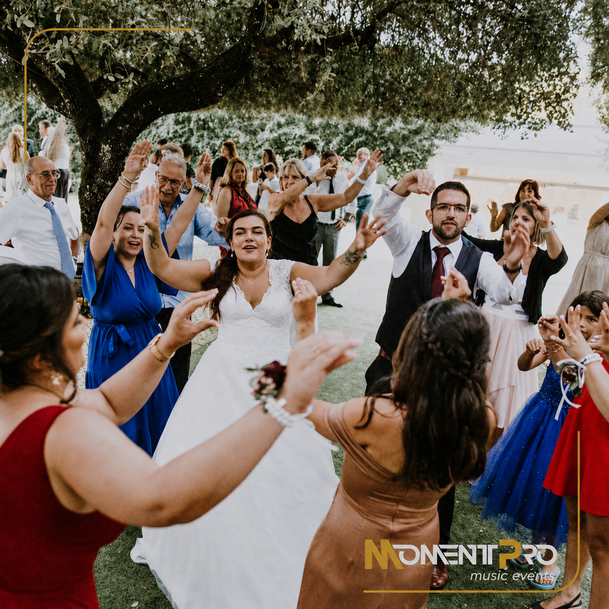 Casamento elegante Moment Pro